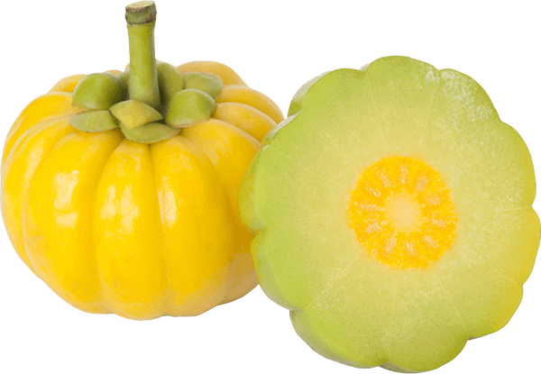 Garcinia Cambogia